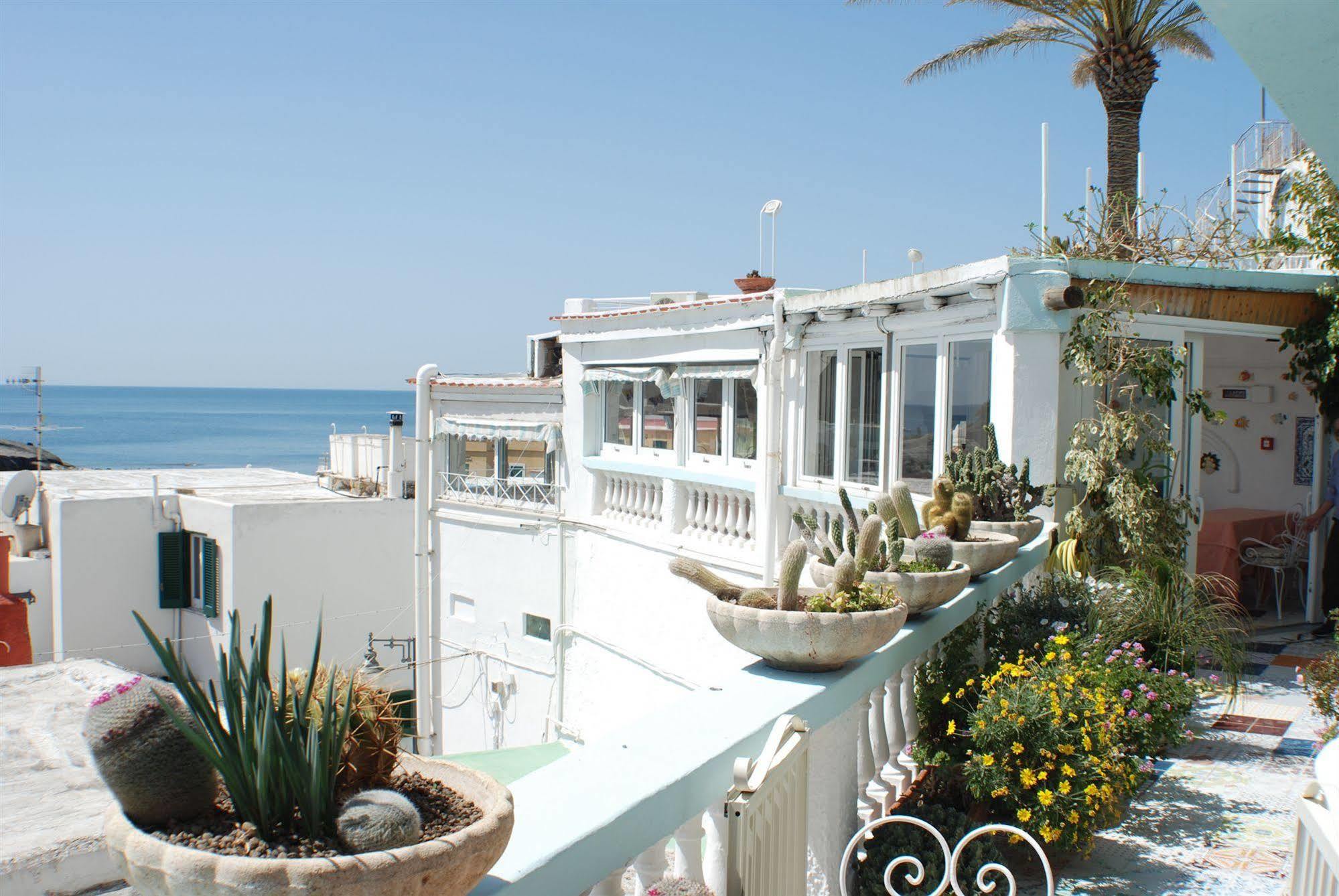 Hotel La Palma Sant'Angelo  Екстериор снимка