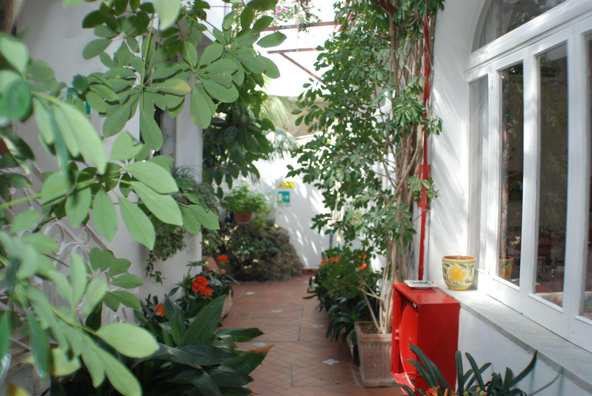 Hotel La Palma Sant'Angelo  Екстериор снимка